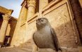 Edfu – Luxor