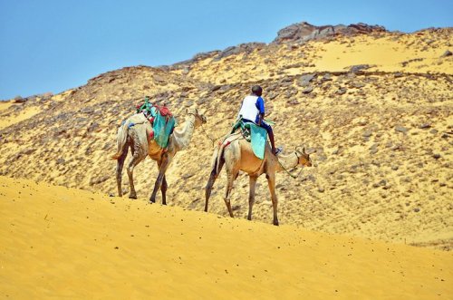 Classical Egypt program