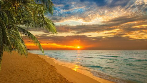 EXPLORE KERALA - 6 Nights / 7 Days
