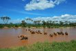 ABERDARES – SAMBURU